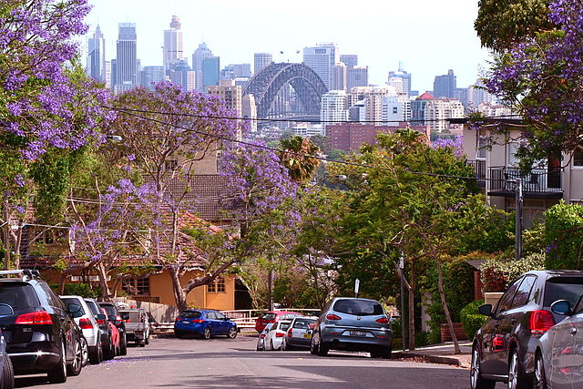 Bent St neutral bay